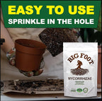 Big Foot Mycorrhizae - Double Your Plant Size, Easy to Use, Made in USA, Treats 30 Plants (7,500 Mycorrhizal Spores) Fertilizer, 4 Ounce Package