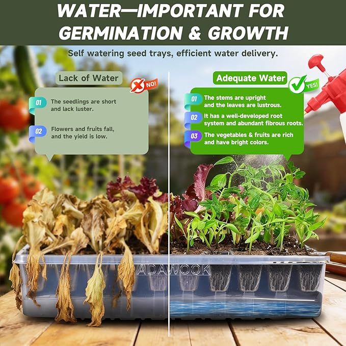 Adawook Self-Watering Seed Starter Tray, Seed Starter Kit Self Water, Germination Trays for Seed Starting with High Humidity Domes (Tray, 240 Cells)