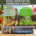 Adawook Self-Watering Seed Starter Tray, Seed Starter Kit Self Water, Germination Trays for Seed Starting with High Humidity Domes (Tray, 240 Cells)