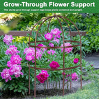 1 Pcs Jardin Bird Cage Plant Support 24" H Large Sturdy Grow-Through Flower Support Peony Cage Climbing Plant Support Trellis Sculptural Garden Decor for Perennial Flowers (Vintage Gold)