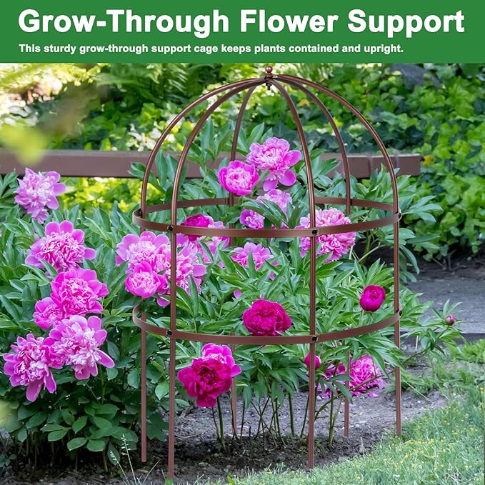 1 Pcs Jardin Bird Cage Plant Support 24" H Large Sturdy Grow-Through Flower Support Peony Cage Climbing Plant Support Trellis Sculptural Garden Decor for Perennial Flowers (Vintage Gold)