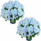 QIANYUN Artificial Topiary for Outdoors -20” Potted Plant Fake Hydrangea Bush-UV Resistant Artificial Outdoor Plants for Front Porch, Garden, Yard, Patio Decor (Blue)