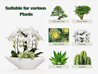 Bonsai Tree Pot - 12 Inch Ceramic Planter with Drainage Hole, Modern Succulent Pots for Indoor & Outdoor, Decorative Planter for Home Decor, Plant Lover Gifts, White-Black