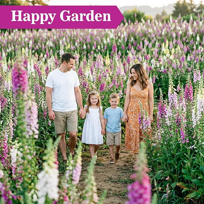 350,000+ Foxglove Seeds for Planting - Digitalis Purpurea Seeds, Tall Ornamental Flower Seeds for Outdoor Cottage and Pollinator Gardens