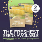 Sweet Yards Seed Co. Organic Enchanted Sweet Corn – Two Seed Packets! – Approx. 30 Open Pollinated Non-GMO Seeds 60 Total
