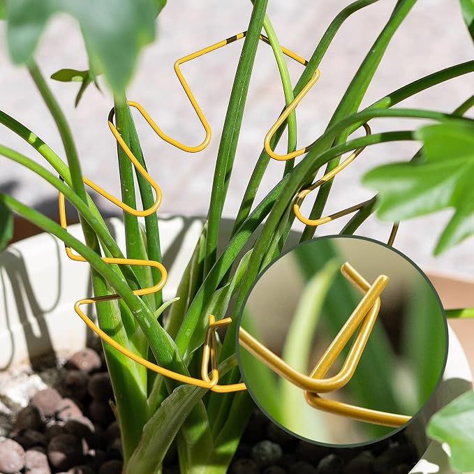 5Pcs Gold Plant Stem Support, Stable Support Stakes for Plants Stabilize, Outdoor & Indoor & Garden Plant Stakes for Healthy Growth (Flower Shaped Bracket C)