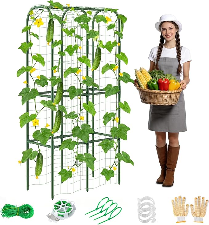 62in Tall Cucumber Trellis for Raised Bed, 34" L x 62" H Metal Garden Trellis for Climbing Plants Outdoor, U-Shape Vegetables Trellis Support for Squash Zucchini Peas Grape