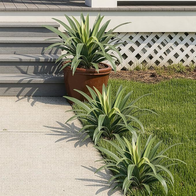 Artificial Agave Plant 15.74Inch ,UV Resistant Faux Agave Plant Outdoor, Large Fake Plants Indoor, Realistic Artificial Plants Without Pot for Outdoor Patio Garden Yard Indoor Home Decor (2 Packs)