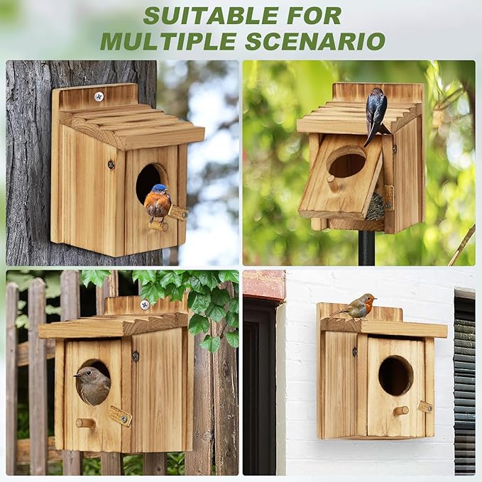 Small Bird House for Hummingbirds,Bird Houses for Outside,Humming Bird Houses for Outside,Outdoor Bird Box,Birdhouse,Bluebird House,Wooden Birdhouse with perches