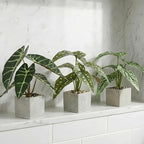 3pcs Small Fake Plants Artificial Begonia Leaves Faux Plants Indoor for Office Desk Shelf Bathroom Home Decor