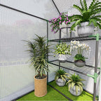 Greenhouse for Outdoors, Small Greenhouse, Walk-in Greenhouses with 3 Tiers 4 Shelves, PE Cover, Heavy Duty Plant Greenhouses for Garden and Backyard