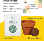 BUZZY Seeds Sunflower Seed Starter Kit Bulk 20 Pack – Mini Terracotta Grow Pots, Flower Gardening Kits for Wedding Favors & DIY Crafts
