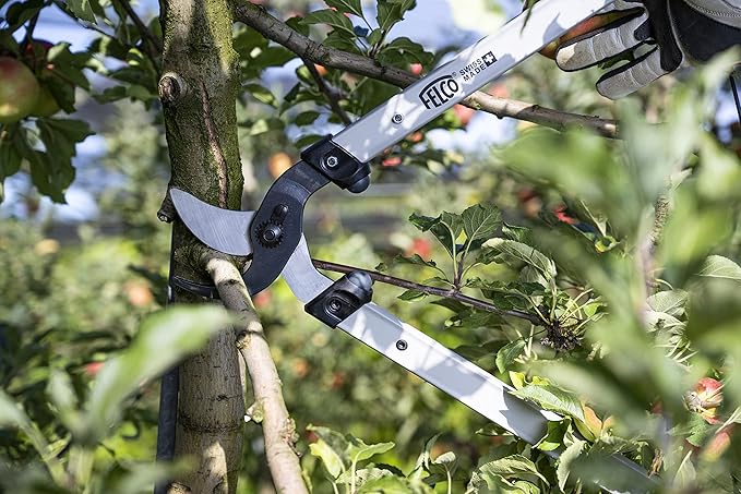 FELCO F221-80 Swiss Made Loppers for Gardening – 32" Lightweight Precision Loppers for Tree Trimming | Tree Branch Cutters | Tree Trimmer Tool with Curved Bypass Blade | I-Beam Handles | Orchard Reach