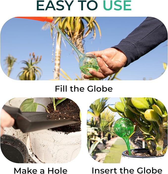 Reifier 6-Pack Plant Watering Globes - Self Watering Bulbs for Indoor & Outdoor Plants - Hand-Blown & Colorful Water Globes - Aqua Globes for Plants - Measures 6" L x 2.5" D
