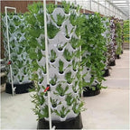Hydroponics Growing System Vertical Hydroponics System Pineapple Tower Intelligent Planter Aeroponic Garden Greenhouse for Vegetable Flower Herb Hydroponic Tower