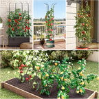 Tower Obelisk Garden Trellis for Climbing Plant，6.3FT/75.6" Rustproof Metal Potted Plant Climbing Support for Indoor Outdoor Flowers Vegetable Fruits Vines Support (2PCS)