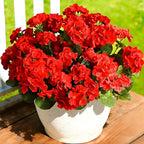 Fake Outdoor Flowers, Artificial Flowers For Outdoors, Red Artificial Geraniums Plastic Flowers, Fake Plant For Outside, Silk Faux Flowers For Outdoor Planters UV Resistant For Front Porch（4 Pcs)
