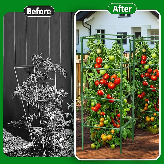 3 Pack Square Tomato Cages, 42 inch Heavy Duty Metal Steel Tomato Plant Cage Support with Clips, Height Adjustable Tomatoes Trellis for Raised Garden Bed Climbing Plants
