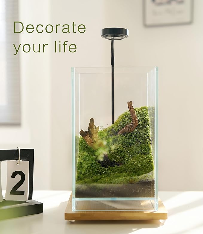27 PCS Glass Plant Terrarium Kit with LED Grow Light– DIY Moss Terrarium Kit for Adults, Mini Garden Set for Succulent, Real Live Moss, and Air Plants – Home Office Decoration & Unique Gift fo Friend