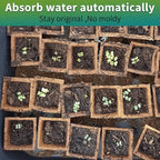 TCBWFY 640Cells Seedling Start Trays,40 Pack Peat Pots Seedling Pots Biodegradable,Seedling Starter Kit,Organic Germination Plant Starter Trays