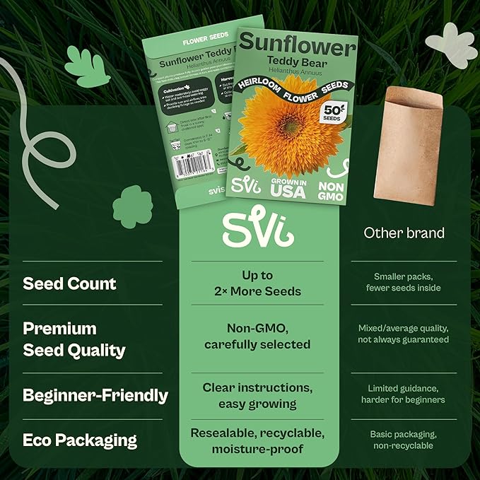 SVI 50 Teddy Bear Sunflower Seeds (Helianthus annuus) – Dwarf Teddy Bear Sunflower Seed Packets – Annual Cut Flower Seeds for Outdoor Garden & Indoor Garden, Containers, Patios, Flower Beds