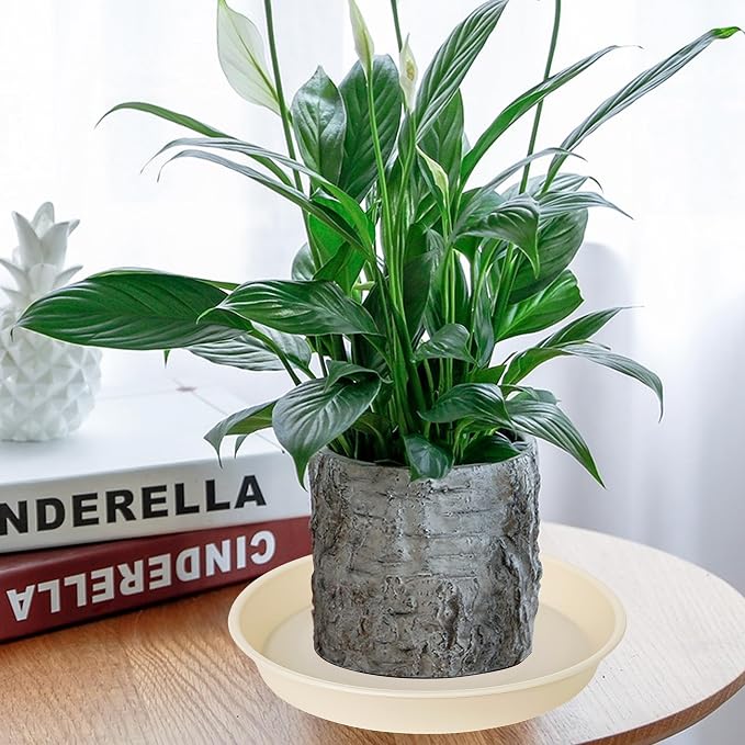 2 Pack of 10 inch Plant Saucer Gray, Heavy Duty Plastic Plant Saucer 10 inch Round, Durable Plant Tray for Pots, Plant Saucers for Indoors, Plant Trays for Planter 9"/10" (10", Beige)