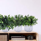 Winlyn 3 Pcs Faux Potted Plants Set - Artificial Eucalyptus, Rosemary, Boxwood Greenery in Small White Geometric Planters for Indoor Outdoor Desk Table Centerpiece Shelf Windowsill Home Office Decor