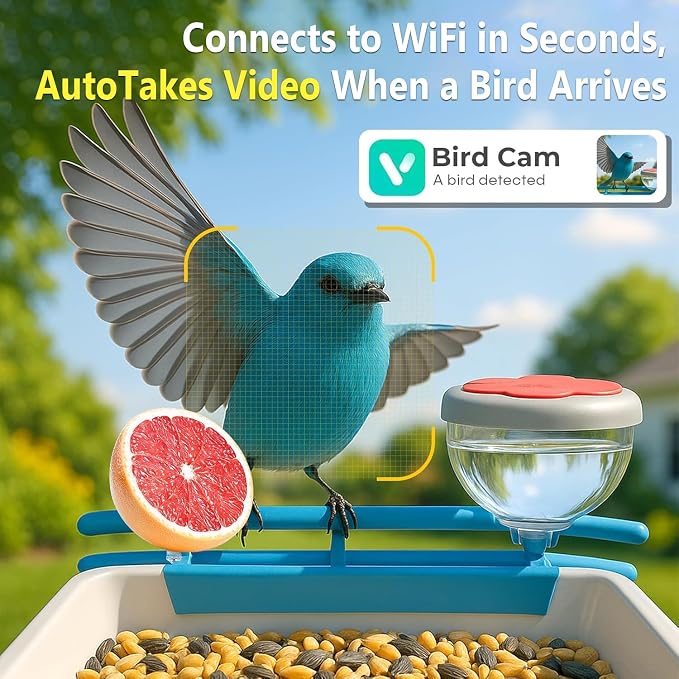 Solar Powered Bird Feeder with Camera: One Full Charge Lasts for Weeks with 6W High Conversion Rate Solar Panel - Continuously Record Over 600 30-S 2K Videos on Backyard/Garden