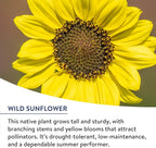 Burpee American Wild Wildflower Seeds | 25,000 Bulk Seeds, Multi, 1 Bag | 13 Varieties of Non-GMO Flower Seeds | Covers 1,000 Sq. Ft. | Grown in the USA