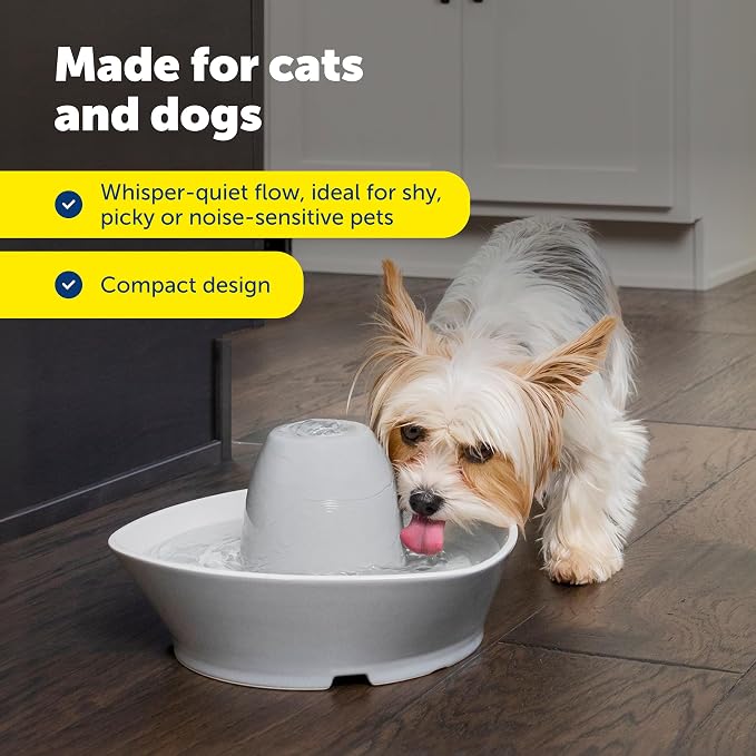 PetSafe Ceramic Pet Fountain with 4-Pack of Carbon Filters for Cats and Small Dogs 60 Oz Water Capacity Whisper-Quiet Water Flow Great for Shy or Timid Pets Fresh, Filtered Water