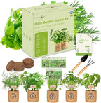 5 Herb Indoor Garden Kit- Unique Chrismas Herb Gardening Gift, Home Kitchen Gift for Mom, Friends, and Gardeners, Basil, Parsley, Chives, Cilantro, Dill