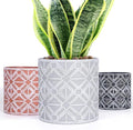 lokeisna Plant Pots, Set of Indoor Plant pots, Plastic Planter with Drainage and Saucer, Modern Distinctive Self Watering Plant Pot, Spray Spots (Indoor Plant Pots)