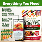HOME GROWN Rainbow Carrot Seeds 10 Variety Mix 3350+ Heirloom Non-GMO Seeds for Planting, High Germination, Multi-Color Gourmet Root Vegetables, Kids Garden, Crunchy Fresh Eating (Daucus carota)