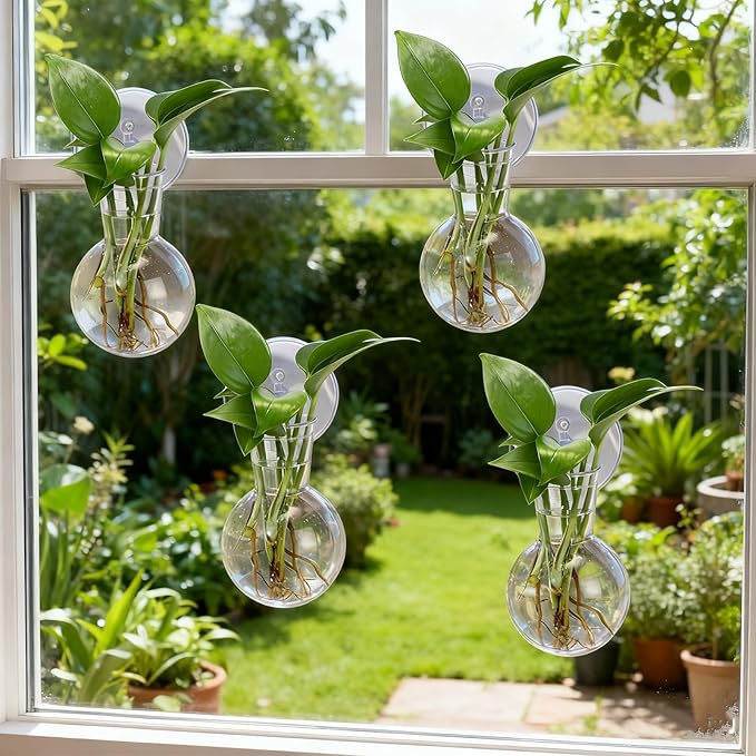 Baderke 6 Pack Window Propagation Stations Plastic Wall Hanging Planter with Suction Cups Brush Window Suction Plant Holder Vases Tubes Terrarium for Home Office Decor(Bulb)