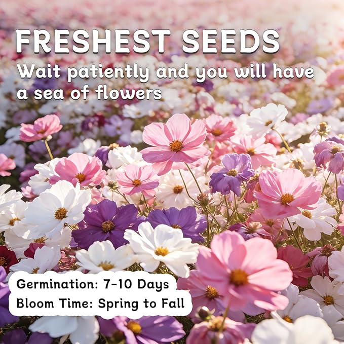 LUOJIBIE Cosmos Seeds, 10,000+ Cosmos Flower Seeds for 2026, Wildflower Seeds for Planting Outdoor Garden, Crazy Blend Mix Color, No Filler, 3 Oz Packet, Easy to Grow