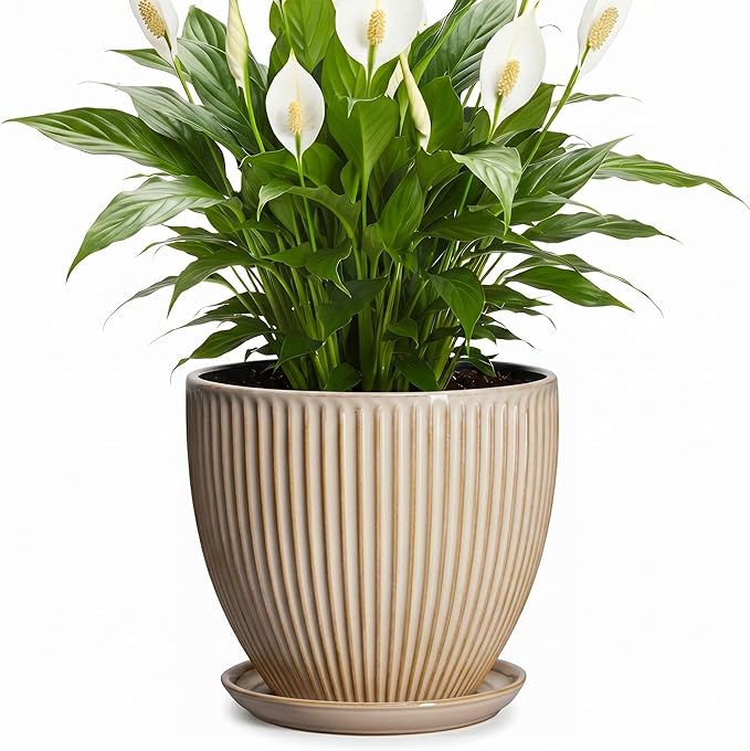 8 Inch Pots for Plants, Ceramic Planter with Drainage Hole and Saucer, Decorative Indoor Plant Pots for Snake Plants, Modern Round Flower Pot, Office House Decor, Gardening Gifts, Beige