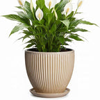 8 Inch Pots for Plants, Ceramic Planter with Drainage Hole and Saucer, Decorative Indoor Plant Pots for Snake Plants, Modern Round Flower Pot, Office House Decor, Gardening Gifts, Beige