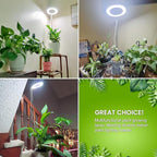 Kullsinss Grow Lights for Indoor Plants Full Spectrum, 80 LEDs Plant Light for Indoor Growing with 2 Mounting Options, 6/12/16H Timer, 3 Spectrum Modes, 9.8"-37.4" Height Adjustable Desk Grow Lamp