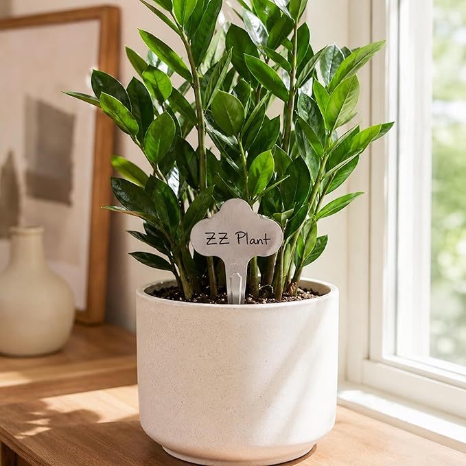 30 Pack Metal Plant Labels 6-1/2" x 3-1/2" Stainless Steel Outdoor Reusable Nursery Plant Name Tags Waterproof Garden Seed Labels Makers for Flowers Vegetable Pots Seedlings Herbs