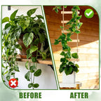 Extra Tall 3ft Wooden Ladder Trellis for Climbing Plants - Sturdy Indoor/Outdoor Plant Support,Easy Assembly & Space-Saving Vertical Garden Decor for Potted Plants, Vines, Pothos, Monstera