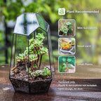 NCYP No Door Geometric Glass Terrarium Planter for Small Succulent, Small Cacti, Black Irregular Opened Terrarium Pot, Indoor Home Garden Office Tabletop Decor, 6.5" x 5.7" x 9.8" (No Plants)