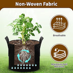 6 Pack 3 Gallon Grow Bags, Heavy Duty 300g Nonwoven Fabric Plant Pots with Reinforced Handles, Breathable Potato & Tomato Grow Bags for Vegetables, Peppers, Herbs - Black