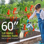 Cucumber Trellis for Raised Bed, Rifny 16.5 x 60 Inch Metal Trellis for Climbing Plants Outdoor with Plant Clips Twist Ties, Garden Plant A-Frame Trellis for Vegetable Pea Tomato (Green, 2 PCS)