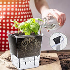 Self Watering Pots Set, 3 Pack 5/4.1/2.7 Inch Self Watering Pot for Indoor Plants, Clear Flowers Pot Planter with Deep Reservoir for Spider Plant, Orchid, African Violet