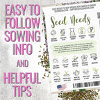 Seed Needs Valerian Seeds for Planting Stink Root Plants - Non-GMO Heirloom & Untreated Perennial Medicinal Herb Seed to Plant a Home Grown Outdoor Garden (1 Pack)