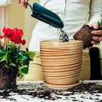 10 Inch Plant Pot Ceramic Pots for Plants with Drainage Hole and Saucer Round Flower Pot for Home Patio Garden Office Yellow