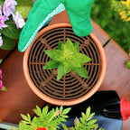5 Pcs Plant Pot Grid, 7.48" Cuttable Plant Pot Soil Covers Protectors with 40 Stakes, Keep Cats Out of Indoor Potted Plants (5Pcs 7.48")