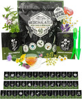 Tactiko Survival 40 Medicinal & Tea Herb Seeds Variety Pack, Indoor & Outdoor Herbal Garden Kit, USA Grown Heirloom Non-GMO, Herbal Seeds for Teas, Resealable Mylar Bag for Long-Term Storage