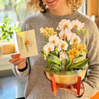 Freshcut Paper Pop Up Cards, Serenity Orchid, 12 Inch Life Sized Forever Flower Bouquet 3D Popup Greeting Card, Birthday Cards, Get Well Gifts, Blank Notecard & Envelope