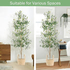 Faux Olive Tree 6FT, Artificial Potted Tree with Planter, Silk Plants Indoor Outdoor, Lifelike Olive Plants with Natural Wood Trunk, Fruits and Buds, Home Office Decor, 1 Pack